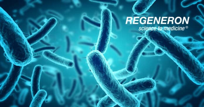 Regeneron Microbiology R&D Specialist Vacancy - Apply Online