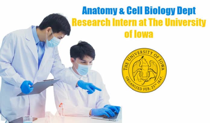 Research Intern