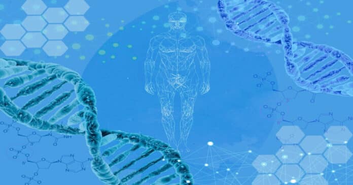 BioMedical Research