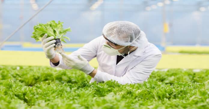 Cargill Food Scientist Vacancy 2021 - Candidates Apply Online