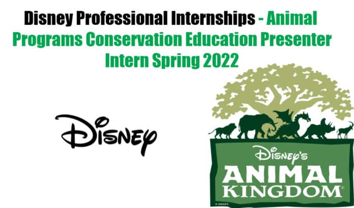 Disney Professional Internships