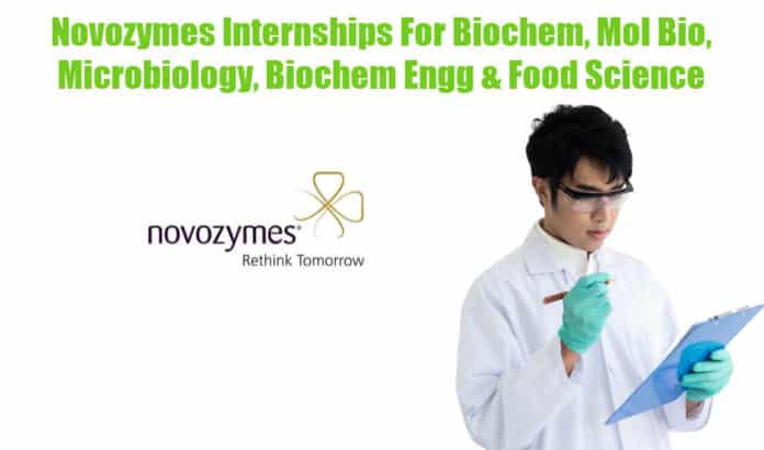 Novozymes Internships
