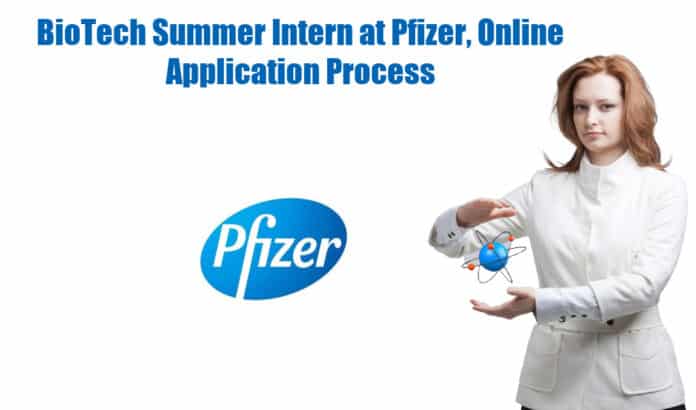 BioTech Summer Intern