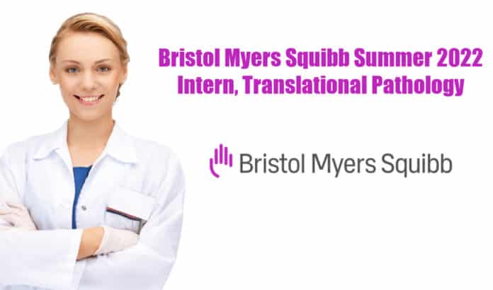 Bristol Myers Squibb Intern