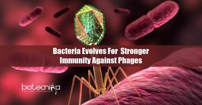 Bacteria Evolves To Provide Immunity