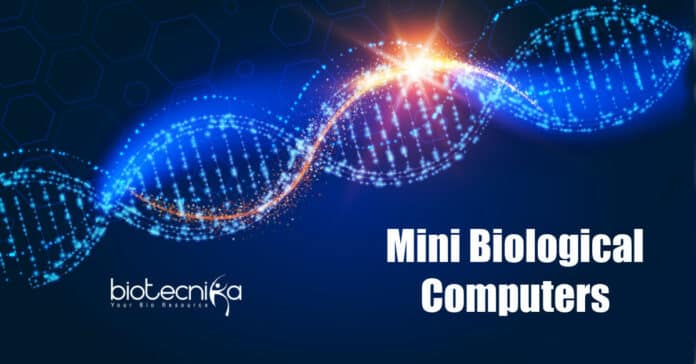 Mini Biological Computers