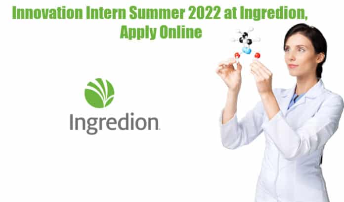 Innovation Intern Summer 2022