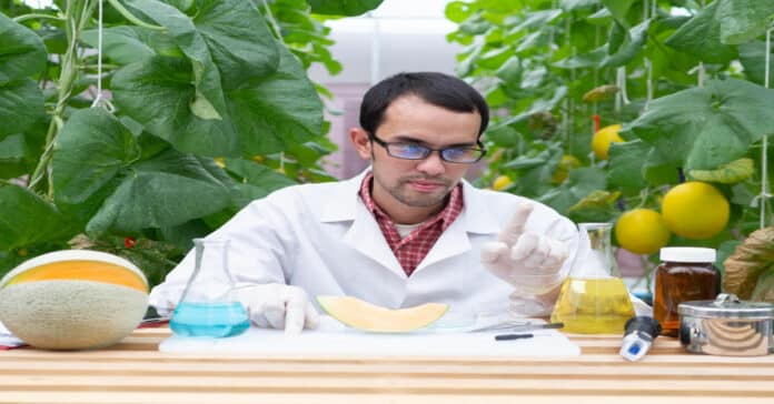 P&G PhD Microbiologist Vacancy 2021 - Candidates Apply Online