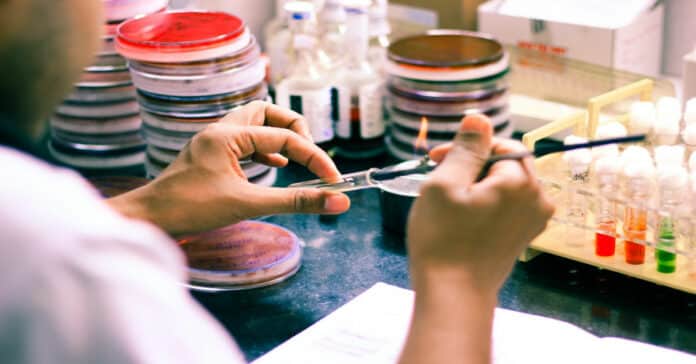 PPD Hiring Microbiology Testing Scientist - Apply Online