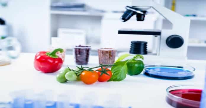 Kerry Applications Senior Scientist Vacancy - Apply Online