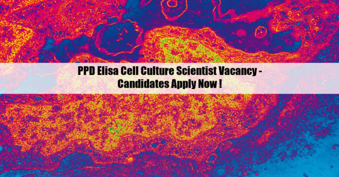 PPD Elisa Cell Culture Scientist Vacancy - Candidates Apply Now !