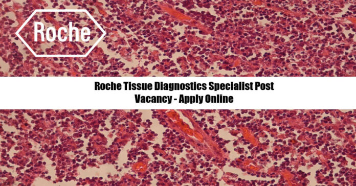 Roche Tissue Diagnostics Specialist Post Vacancy - Apply Online