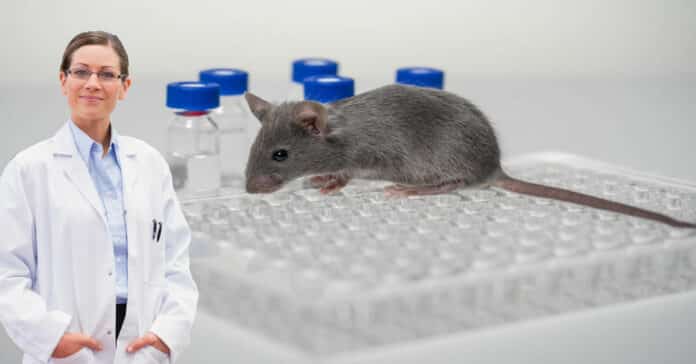Labcorp Drug Development - Animal Research Assistant Post Vacancy