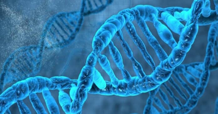 Labcorp Life Science Pathology Study Technician Vacancy 2021