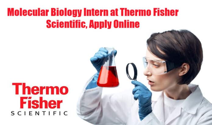 Molecular Biology Intern