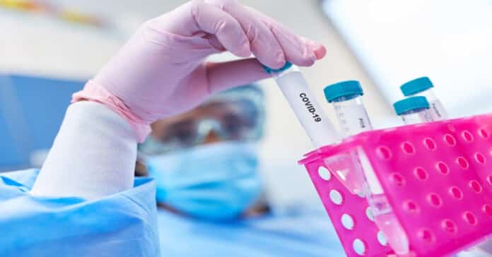 Pfizer Vaccines Associate Scientist Post Vacancy - Apply Online