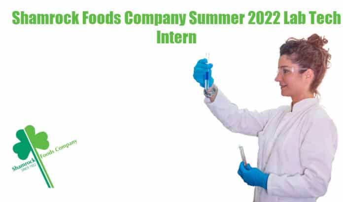 Shamrock Foods Summer Internship