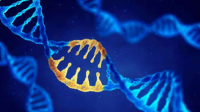 Duke Biological Science Lab Scientist Vacancy - Apply Online