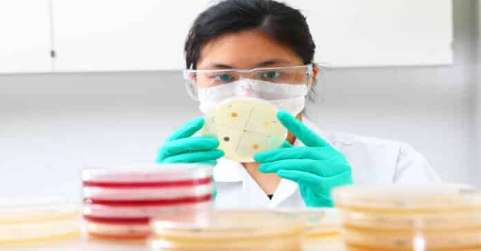 Piramal Microbiologist Job Vacancy 2022 - Candidates Apply Online