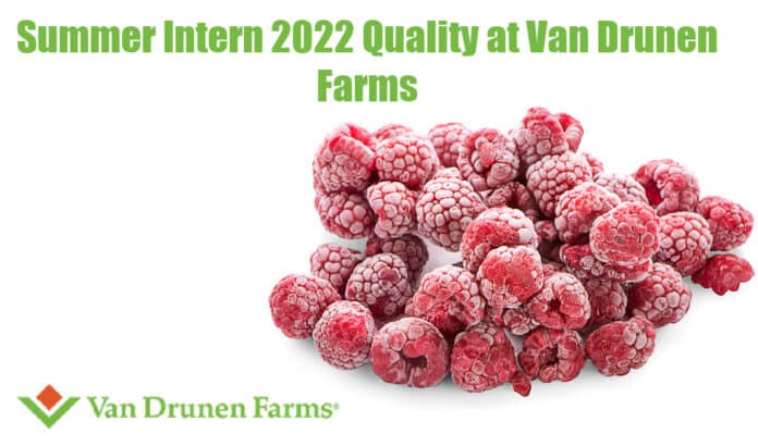 Summer Intern 2022 Quality