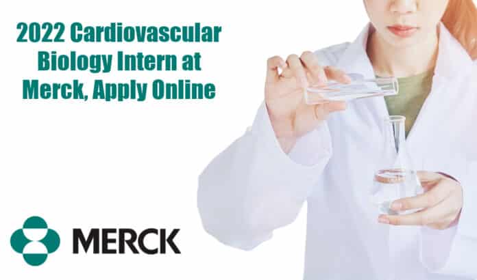 2022 Cardiovascular Biology Intern