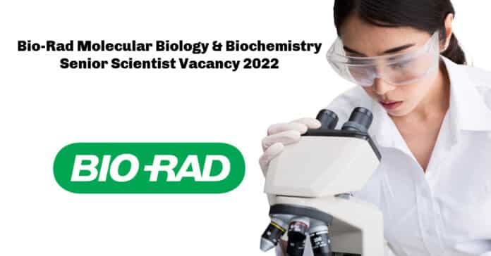 Bio-Rad Molecular Biology & Biochemistry Senior Scientist Vacancy 2022