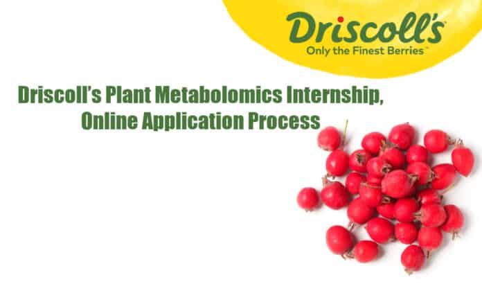 Driscoll’s Plant Metabolomics Internship