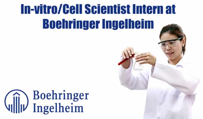 In-vitro/Cell Scientist Intern at Boehringer Ingelheim