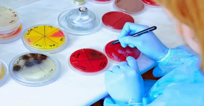 LabCorp Microbiology Medical Technologist Vacancy - Apply Online