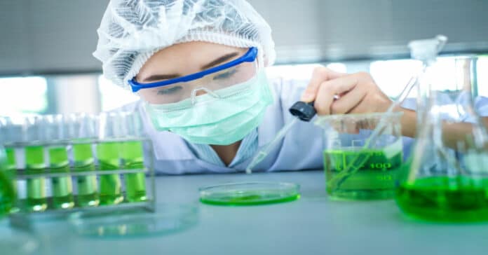 P&G Hiring PhD Biology Candidates - R&D PhD Engineer Vacancy