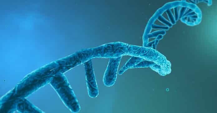 Sanofi Life Science mRNA Scientist Vacancy 2022 - Apply Online