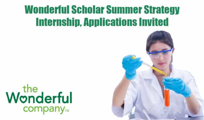 Wonderful Scholar Summer Strategy Internship