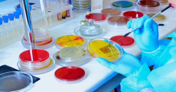 Boehringer Ingelheim Microbiology Quality Control Job - Apply Online