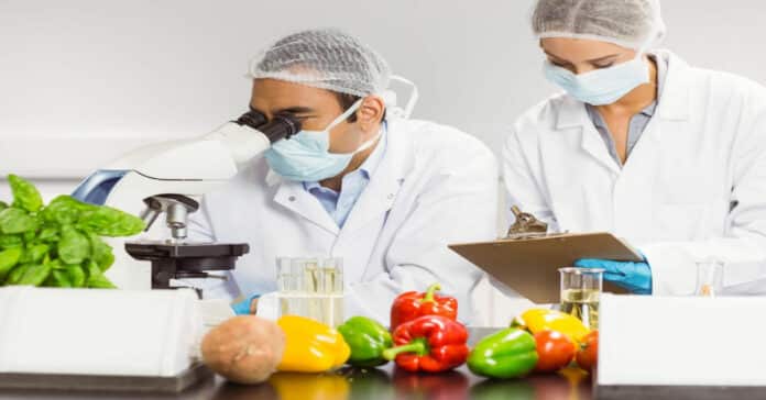 Cargill Food Safety Quality Associate Job Vacancy - Apply Online