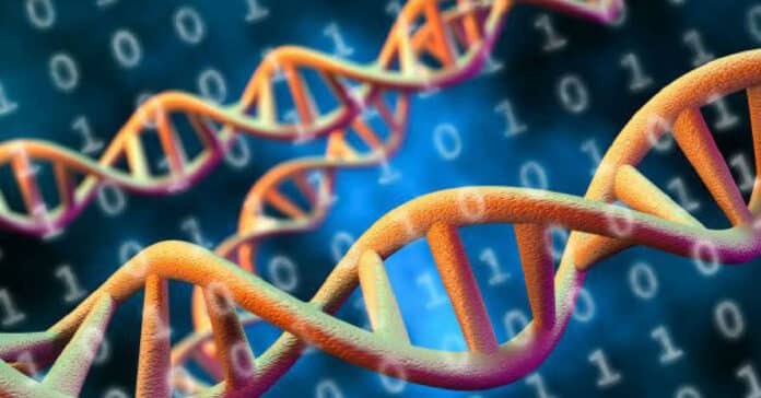 Invitae Bioinformatics Analyst Vacancy 2022 - Candidates Apply Online