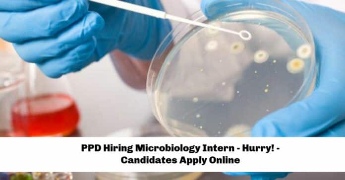 PPD Hiring Microbiology Intern - Hurry! - Candidates Apply Online