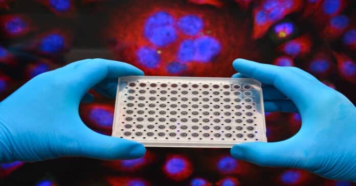 Thermo Fisher Scientific R&D Molecular Biology Job - Apply Online