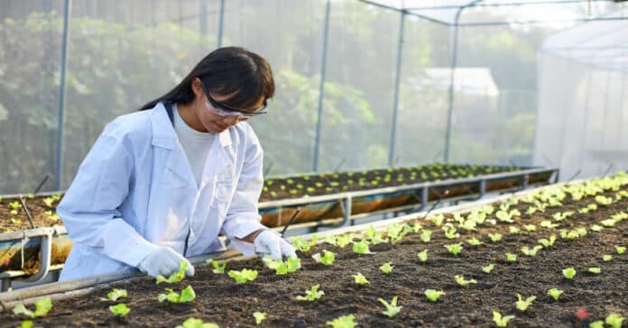 Bayer Biology & Plant Biotechnology Job Vacancy - R&D Specialist II