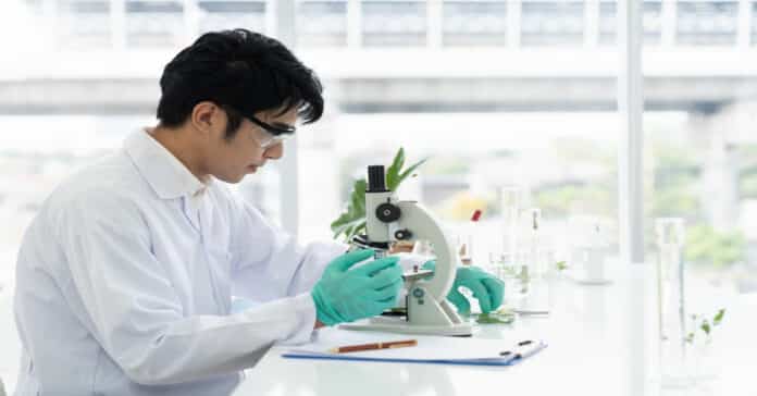 Boehringer Ingelheim Bacterial Research Scientist Job Vacancy 2022