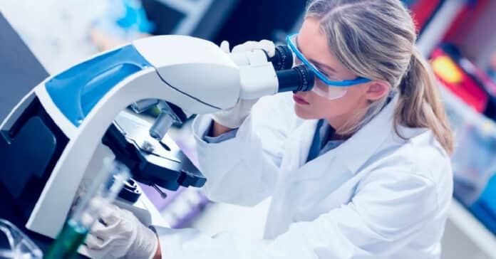 Abbott Forensic Scientist Vacancy - Biology Candidates Apply
