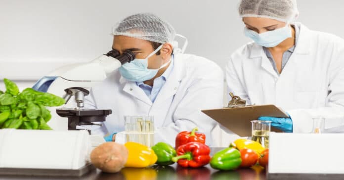 Cargill Food Safety Quality Senior Technician Vacancy - Apply Online