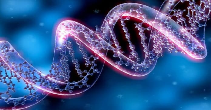 Intern - NGS Sequencing/RNA Biology (Summer 2023) - Amgen