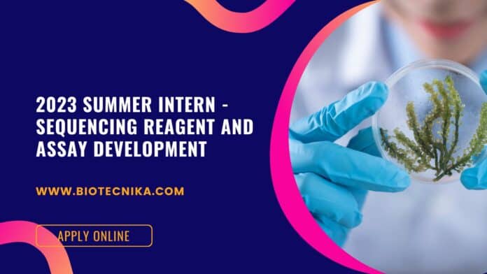 2023 Summer Intern - Sequencing Reagent and Assay Development