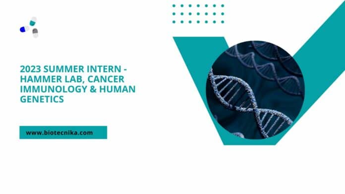 2023 Summer Intern - Hammer lab, Cancer Immunology & Human Genetics