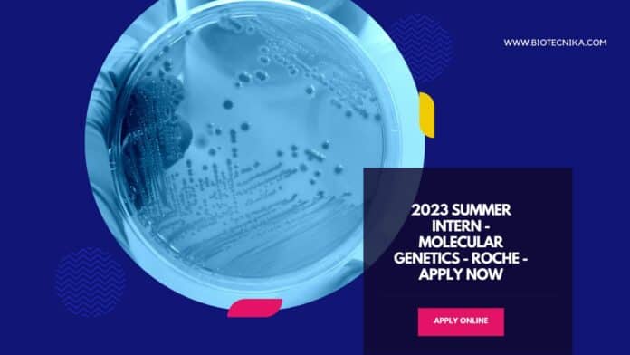 2023 Summer Intern - Molecular Genetics - Roche - Apply Now