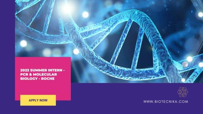 2023 Summer Intern - PCR & Molecular Biology - Roche