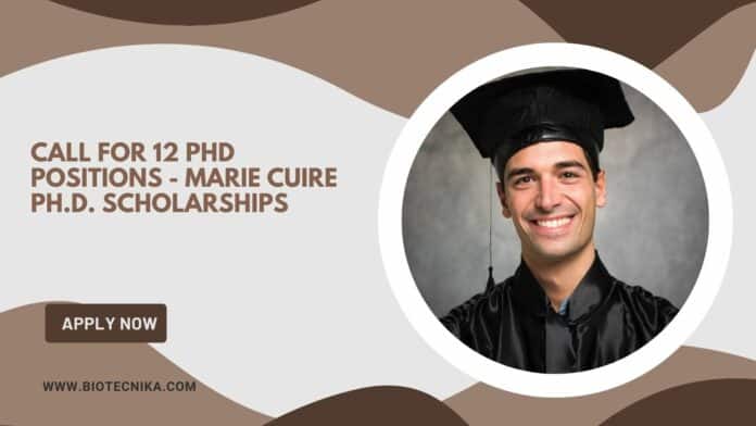 Call for PhD positions - Marie Cuire Ph.D. Scholarships