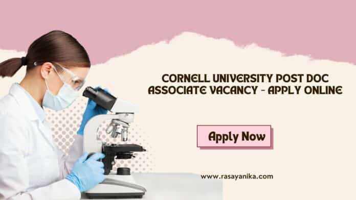 Cornell University Post Doc Associate Vacancy - Apply Online