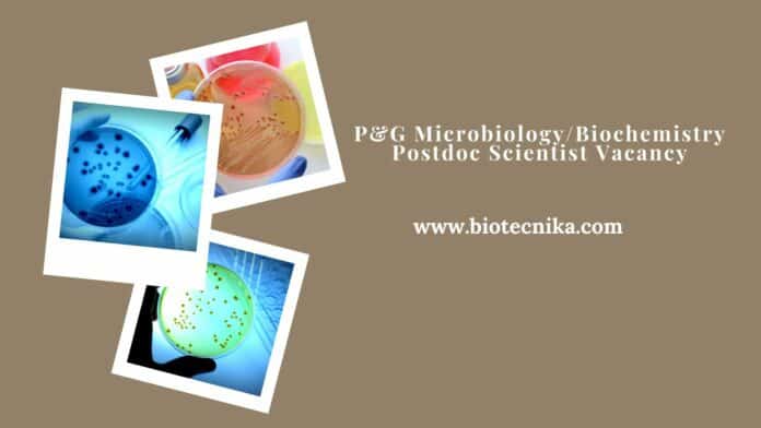 P&G Microbiology/Biochemistry Postdoc Scientist Vacancy