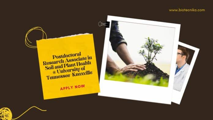 Postdoctoral Research Associate in Soil and Plant Health @ University of Tennessee-Knoxville